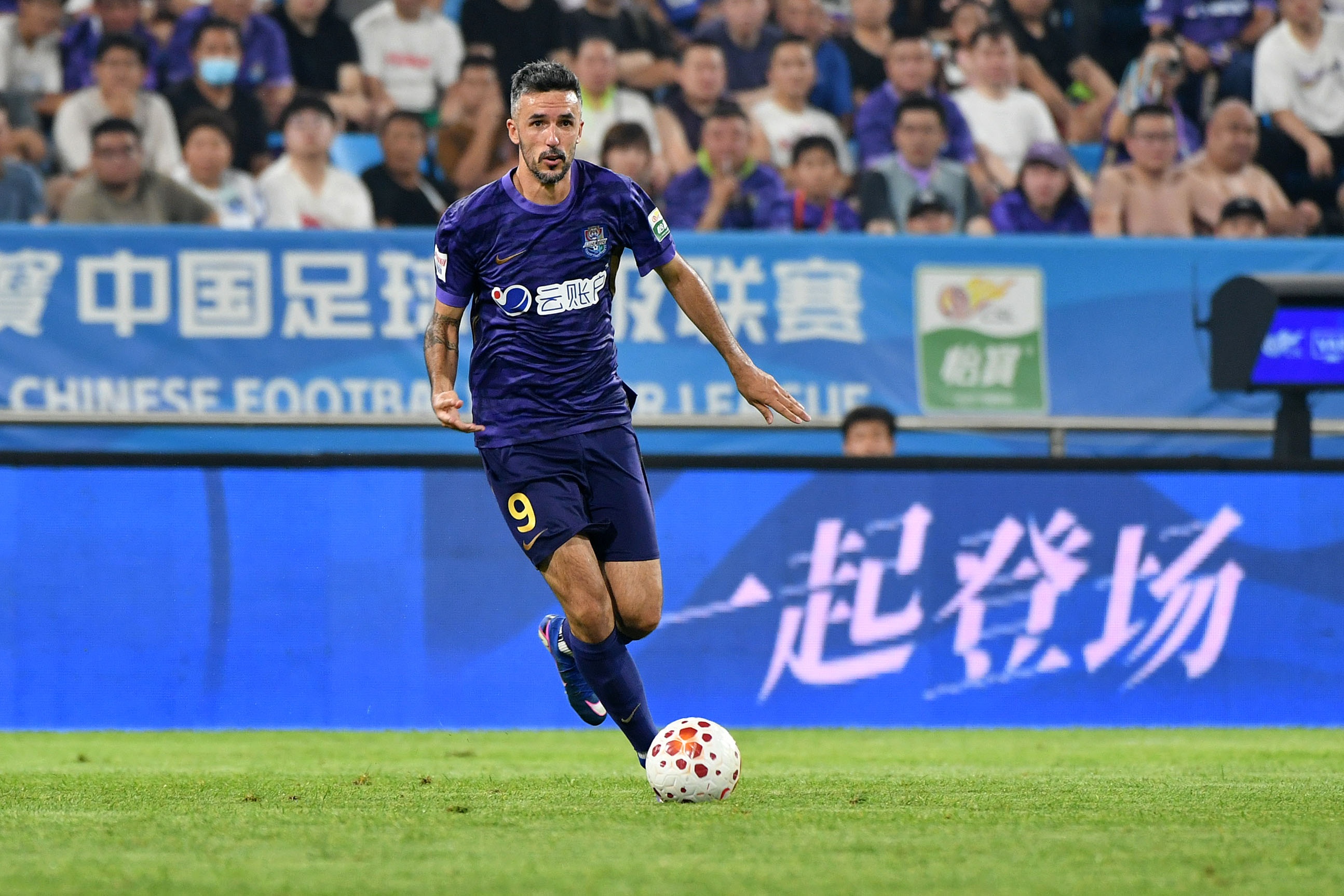 京津德比周末水滴上演 津门虎主场草皮整修完毕
