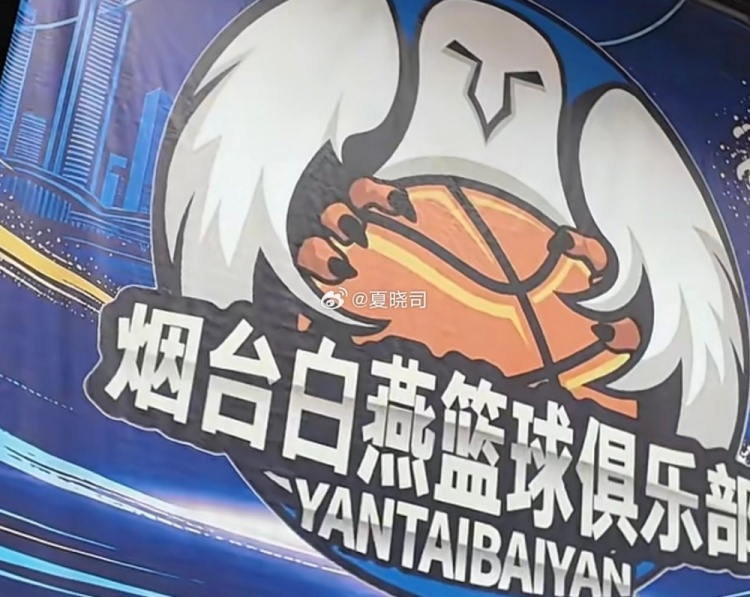 山东第二支NBL球队？鲁媒：烟台白燕篮球俱乐部或征战新赛季NBL